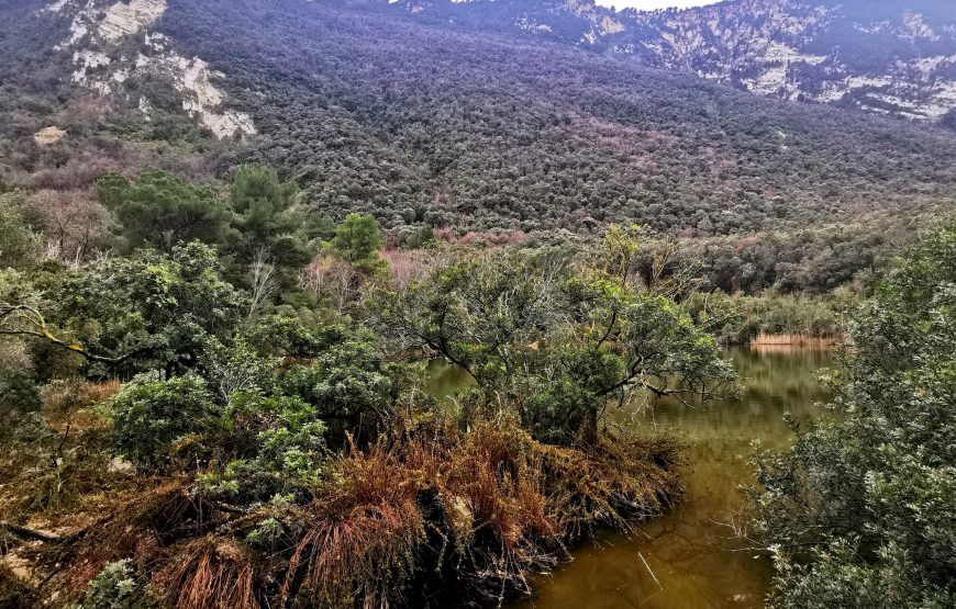 Portonovo: Natura e Storia della baia verde