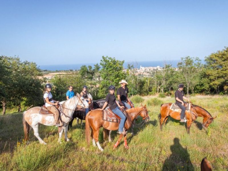 Passeggiata a cavallo Conero
