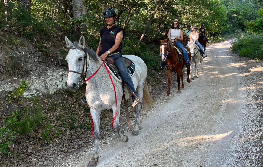 Passeggiata a cavallo tra vigneti e mulattiere