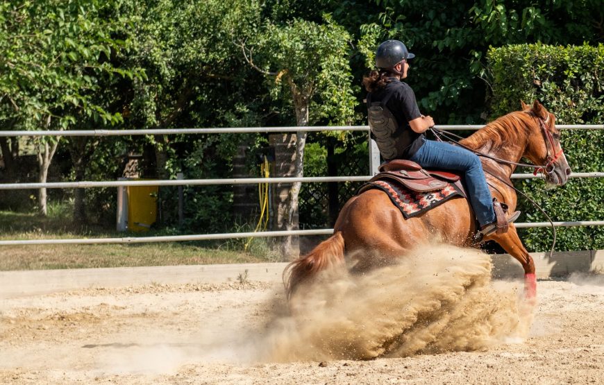 Passeggiata a cavallo tra vigneti e mulattiere