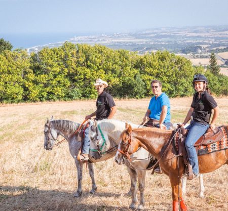 Passeggiata a cavallo tra vigneti e mulattiere