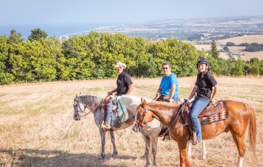 Passeggiata a cavallo tra vigneti e mulattiere