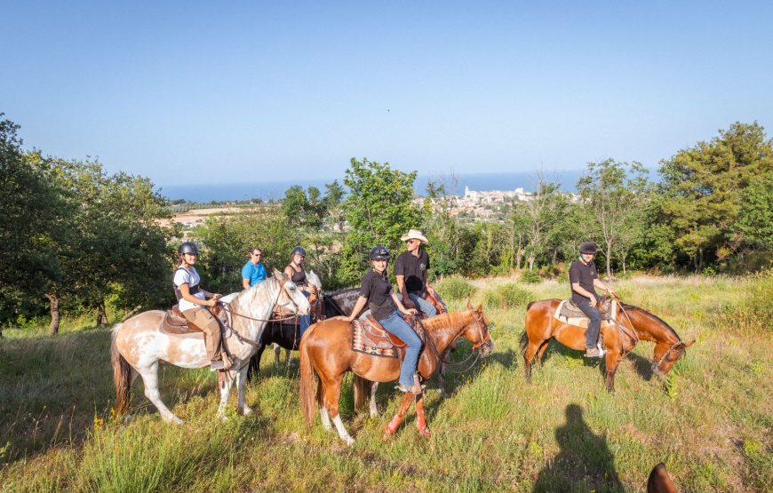 Passeggiata panoramica a cavallo nel Parco del Conero 1,5h