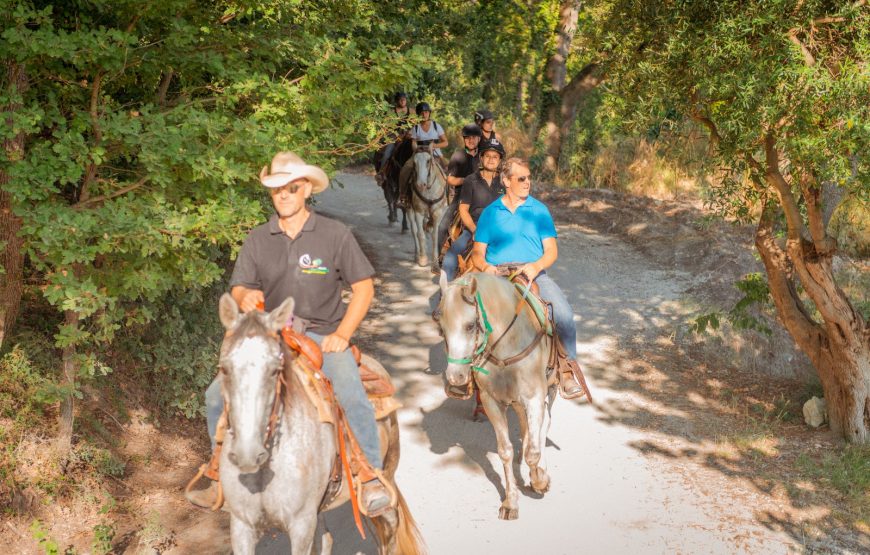 Passeggiata a cavallo tra vigneti e mulattiere