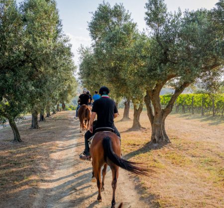 Gite in barca e attività nella Riviera del Conero