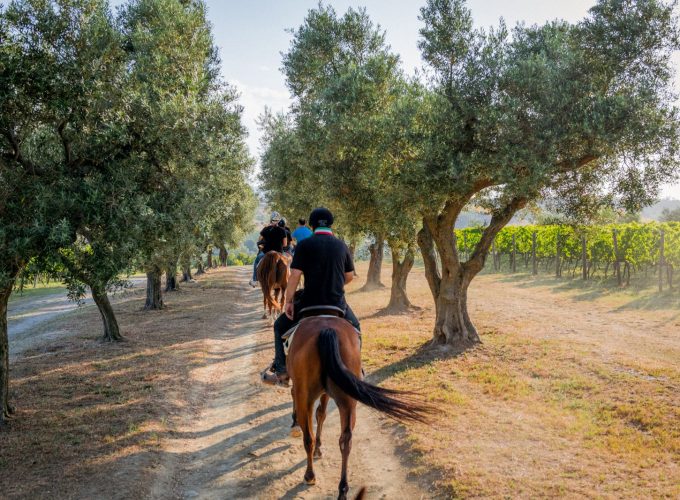 Gite in barca e attività nella Riviera del Conero