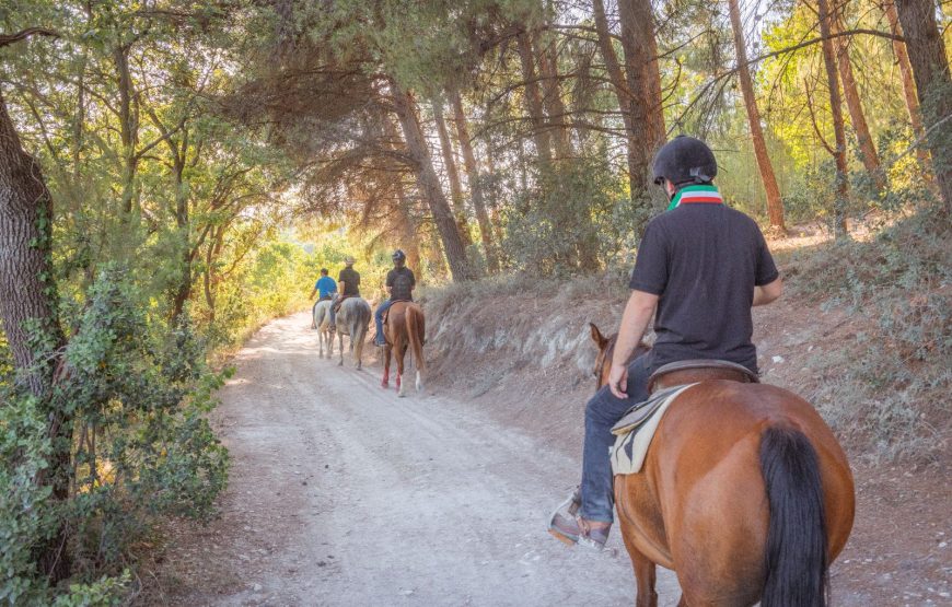 Passeggiata panoramica a cavallo nel Parco del Conero