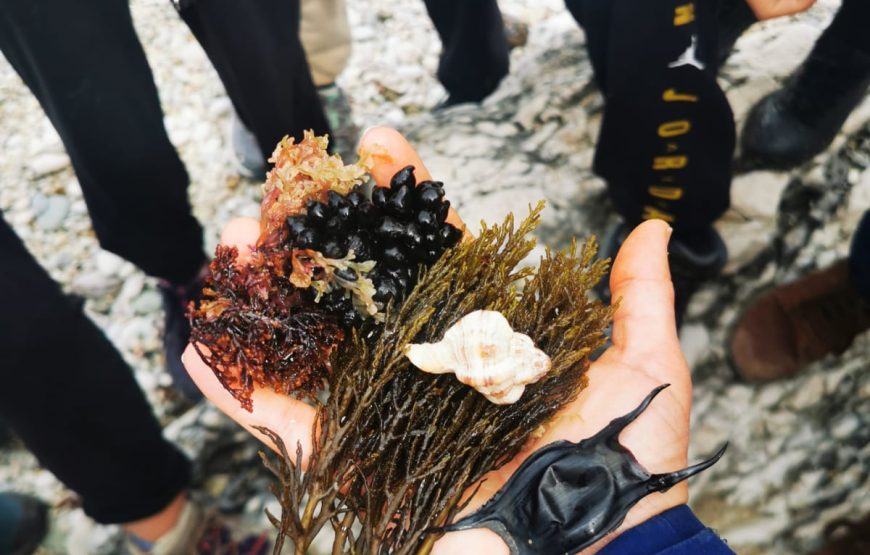 Portonovo: Natura e Storia della baia verde