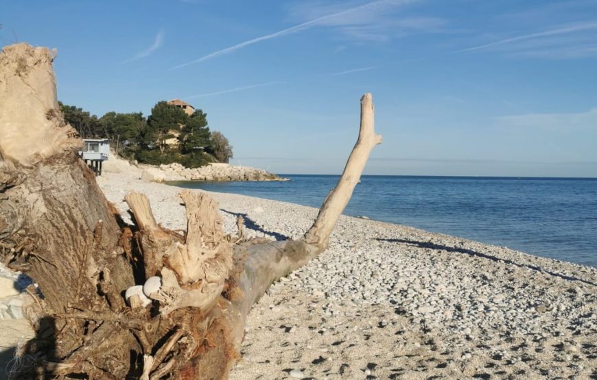 Portonovo: Natura e Storia della baia verde