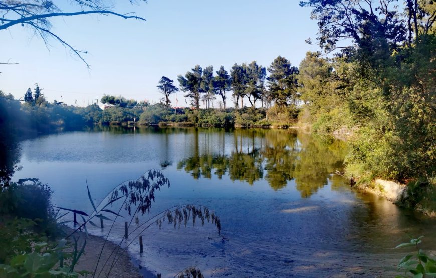 Portonovo: Natura e Storia della baia verde