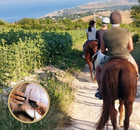 Passeggiata a cavallo nel Parco del Conero + Aperitivo 1,5h