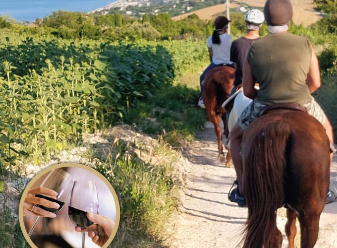 Passeggiata a cavallo nel Parco del Conero + Aperitivo 1,5h