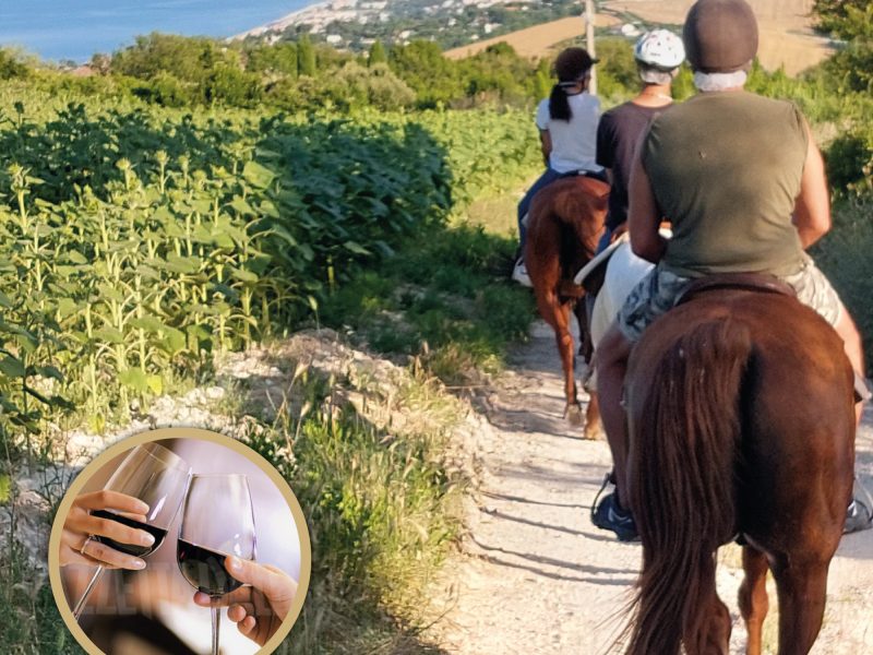 Passeggiata a cavallo nel Parco del Conero + Aperitivo 1,5h