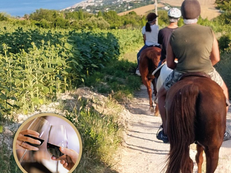 Gite in barca e attività nella Riviera del Conero