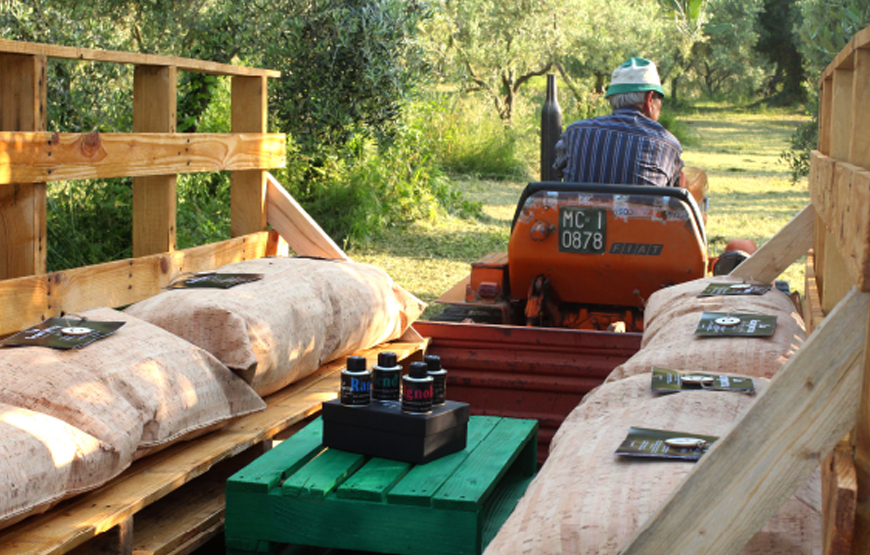 Tour in campagna con degustazione olio “la Scarpetta” e merenda all’ombra dell’ uliveto del Poeta