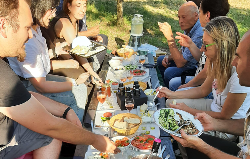 Tour in campagna con degustazione olio “la Scarpetta” e merenda all’ombra dell’ uliveto del Poeta