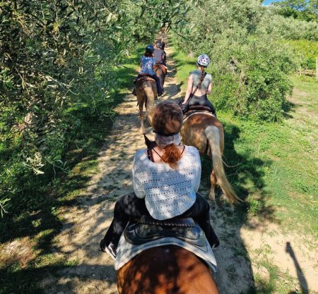 Passeggiata a cavallo tra vigneti e mulattiere 1h