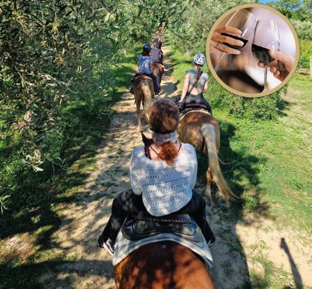 Passeggiata a cavallo tra vigneti e mulattiere + aperitivo 1h