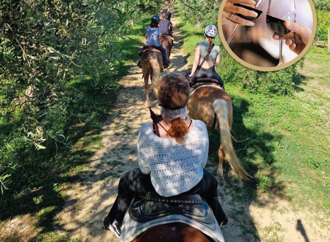 Passeggiata a cavallo tra vigneti e mulattiere + aperitivo 1h