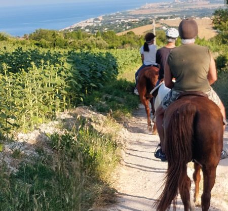 Passeggiata panoramica a cavallo nel Parco del Conero 1,5h