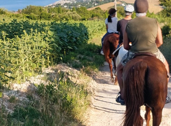 Passeggiata panoramica a cavallo nel Parco del Conero 1,5h