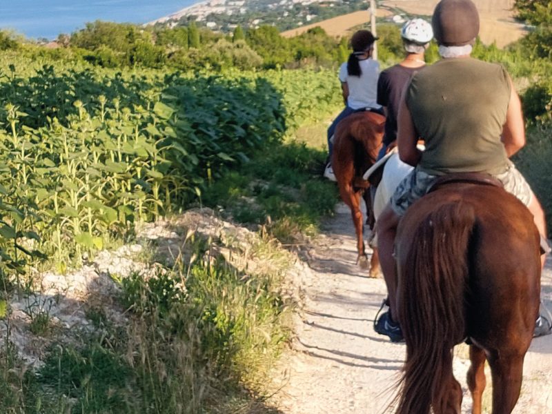 Gite in barca e attività nella Riviera del Conero