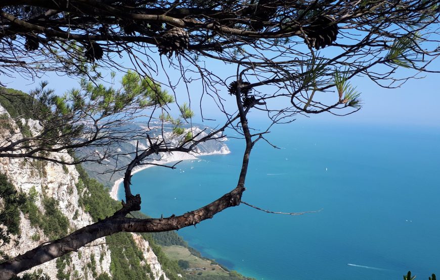 Mare & Monti Bike Tour