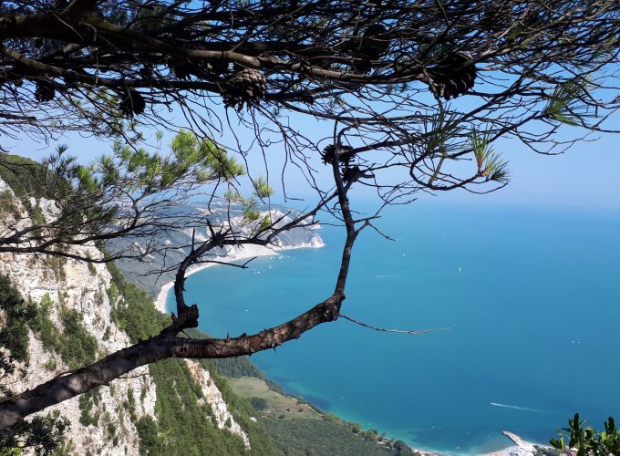 Gite in barca e attività nella Riviera del Conero