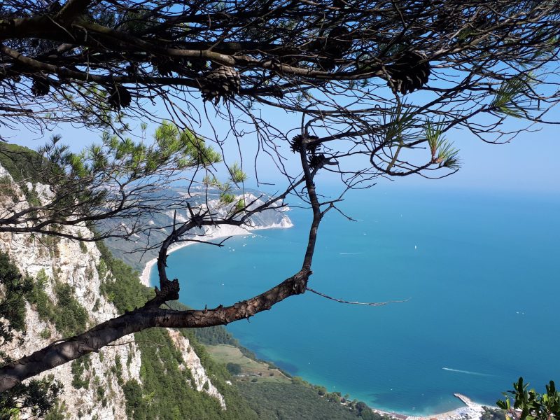 Gite in barca e attività nella Riviera del Conero