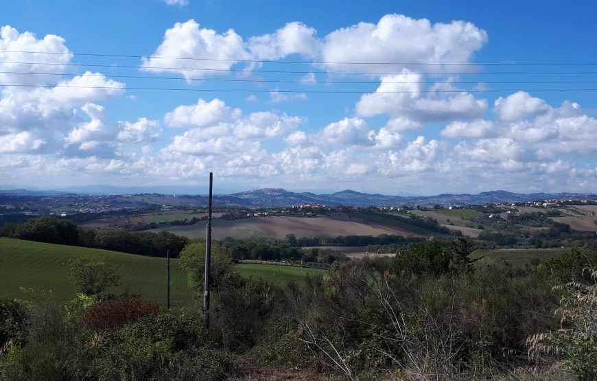 Monte Conero Bike Tour