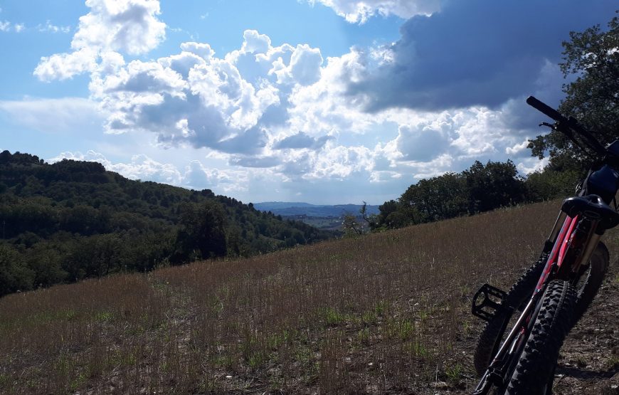 Monte Conero Bike Tour