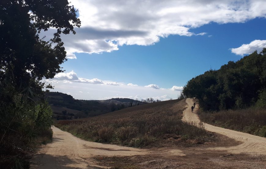 Strade Bianche Bike Tour