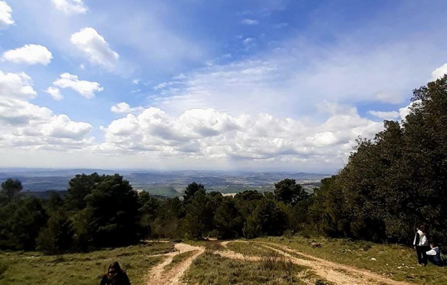I Giovedì del Conero: I Balconi Vista Mare del Conero