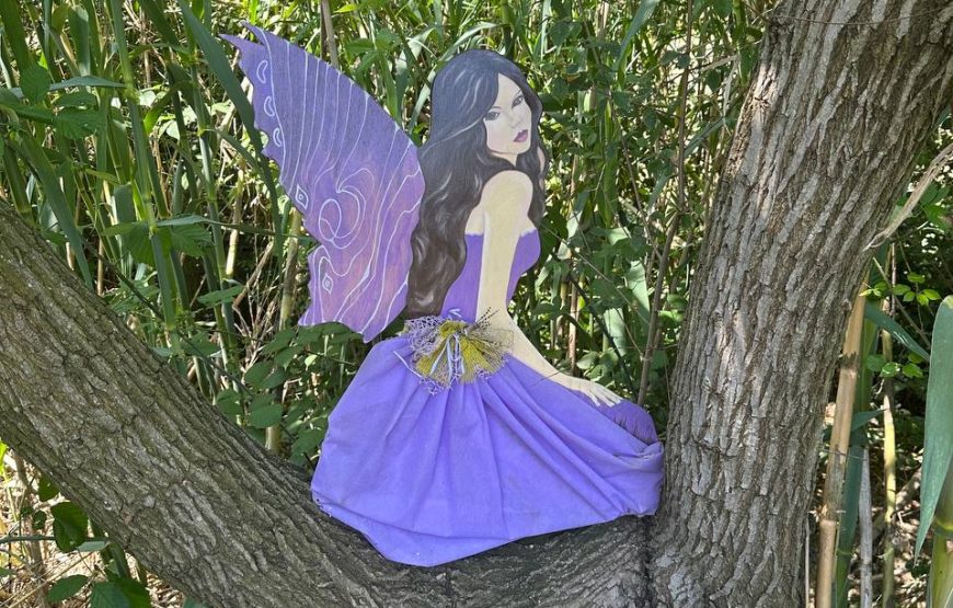 Magia della Lavanda – L’ Ulivo di Nonno Amato