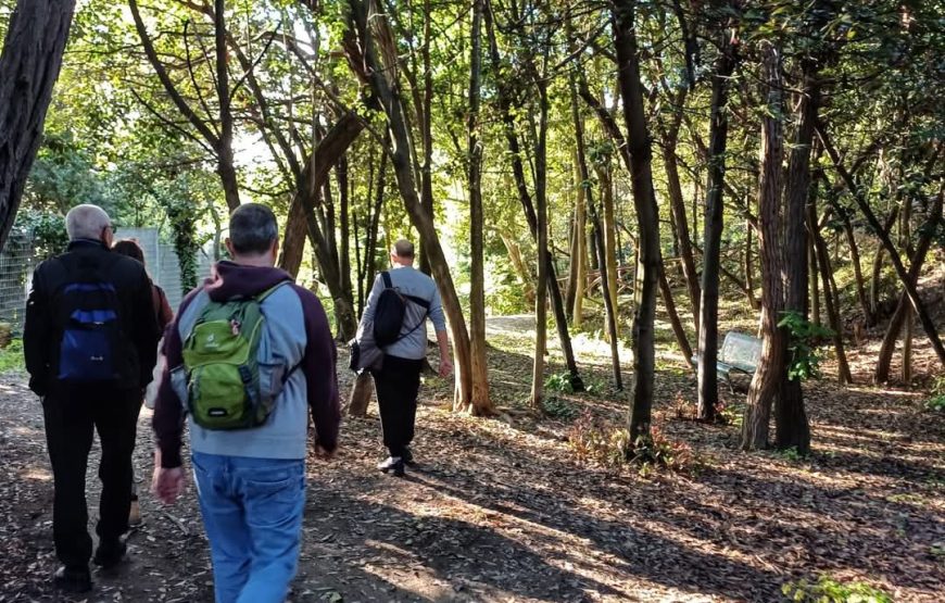 TRAVERSATA D’ANCONA: Camminando sopra le Falesie d’Ancona Passeggiata Storica-Naturalistica