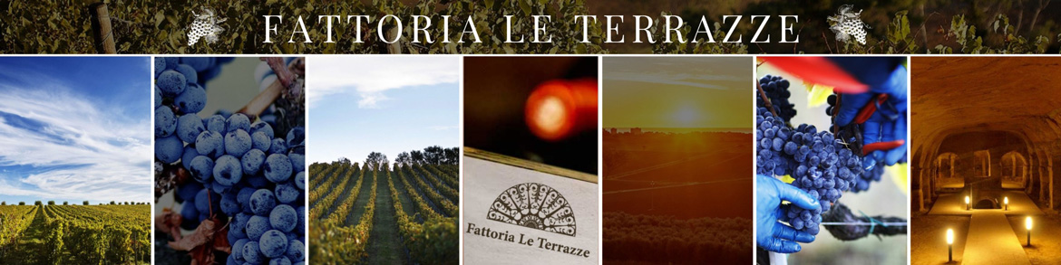 Fattoria Le Terrazze Numana