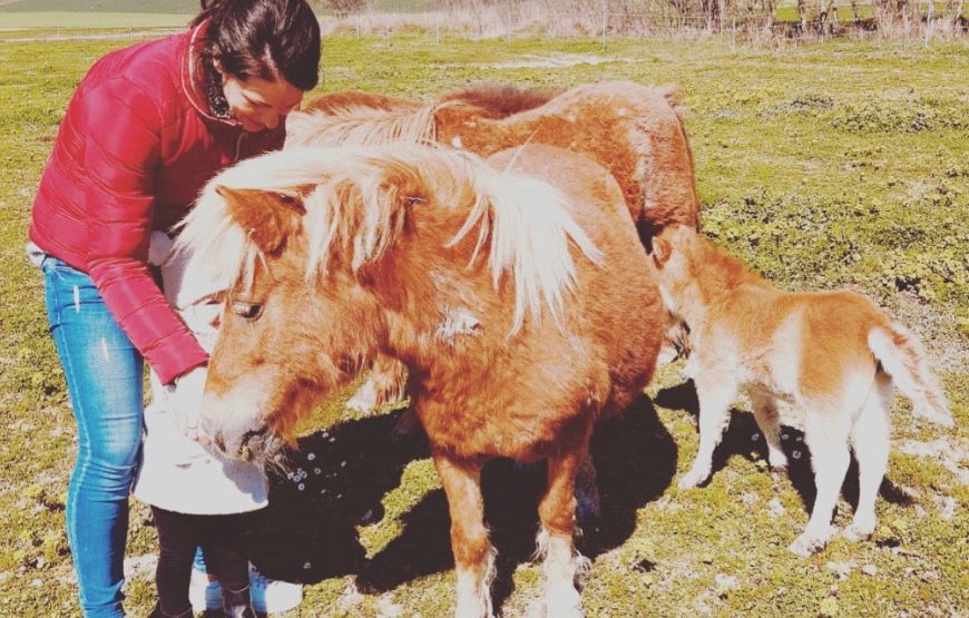 Tour a cavallo nel cuore delle marche