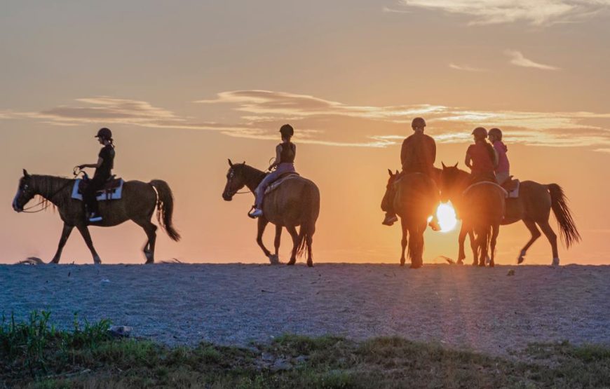 Tour a cavallo nel cuore delle marche