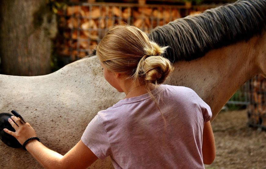 Alto Contatto con il Cavallo in Natura