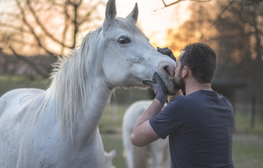 Alto Contatto con il Cavallo in Natura