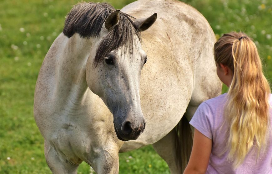 Alto Contatto con il Cavallo in Natura