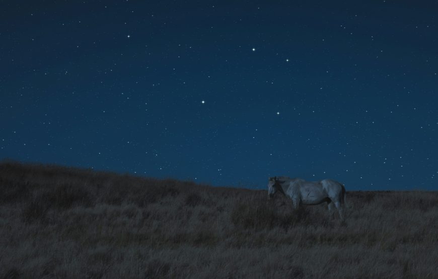 A CAVALLO DI NOTTE