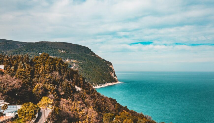 green trees on mountain near sea under blue sky during daytime