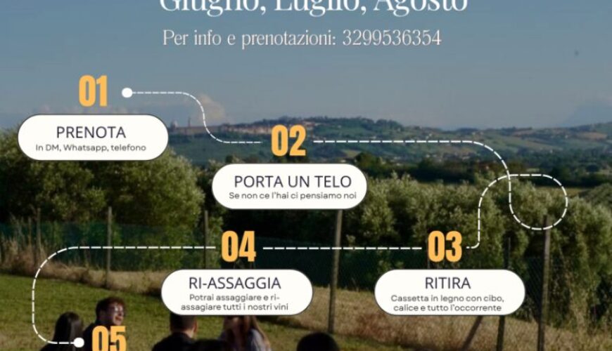 Oltremare Picnic Vino, tramonto e convivialità tra i vigneti del Conero