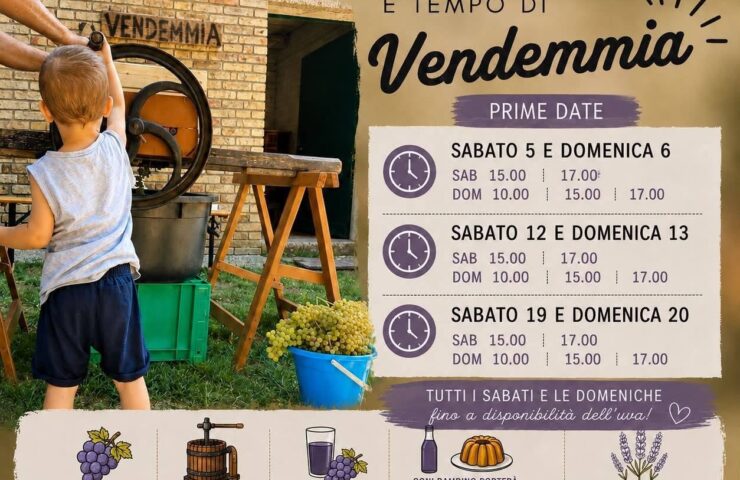 Vendemmia È tempo di vendemmia – L’Ulivo di Nonno Amato