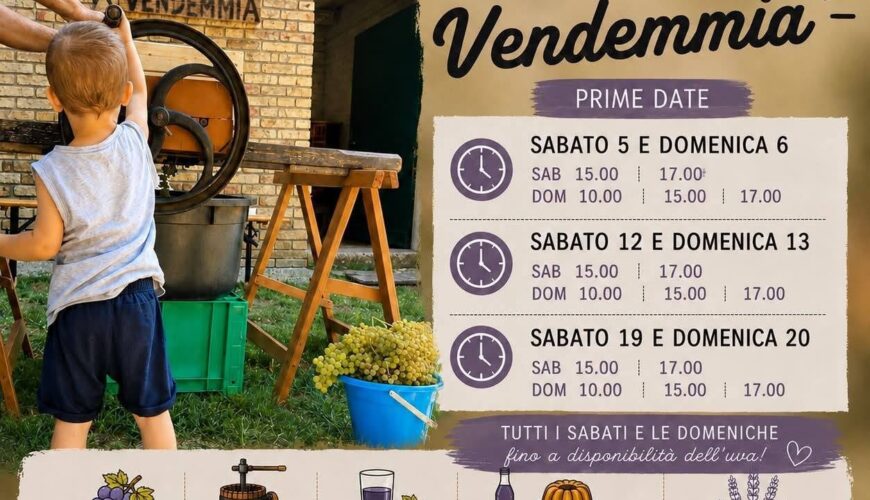 Vendemmia È tempo di vendemmia – L’Ulivo di Nonno Amato