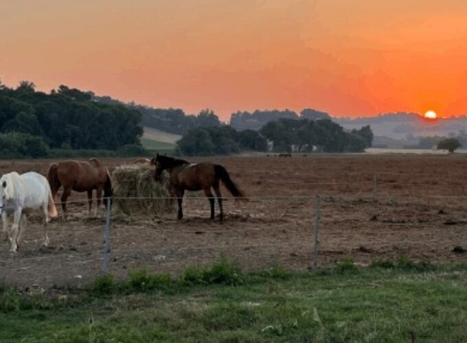 passeggiata a cavallo A MONTE COLOMBO
